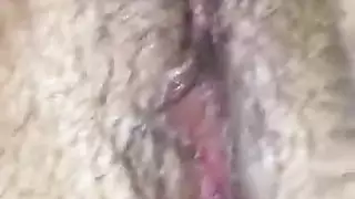 الحمار لطيفة من العراق