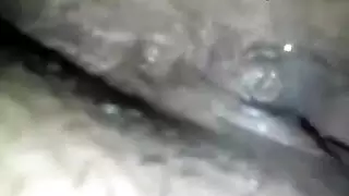 نيك مع حيوانات مختلفه